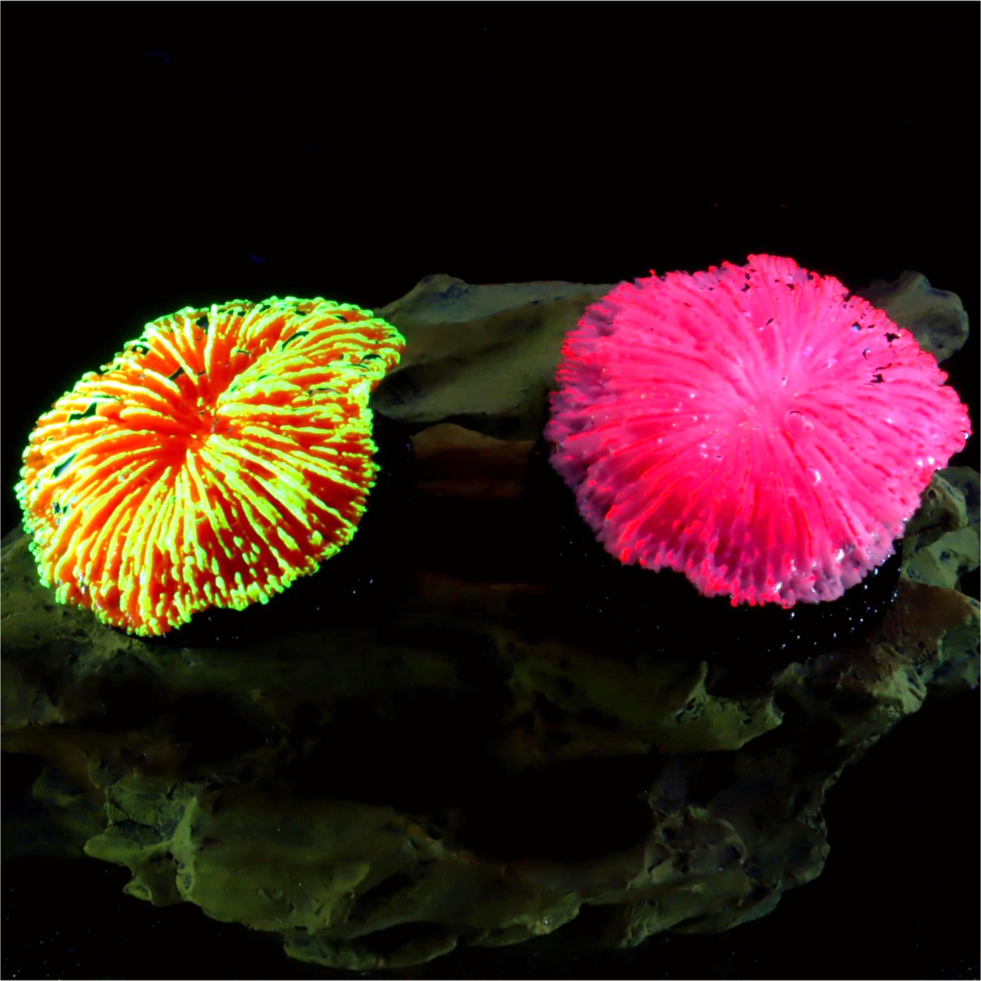 Live Plant Aquarium - 1 Peça de Decoração para Aquário,