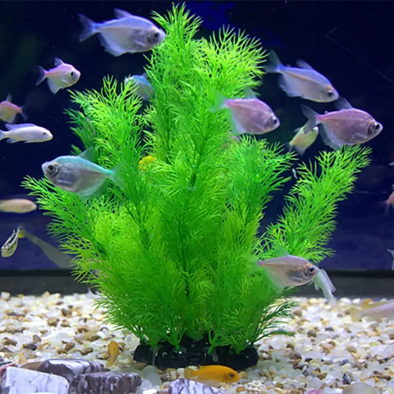 Aquarium Plants Live - Plantas artificiais para decoração de aquário,