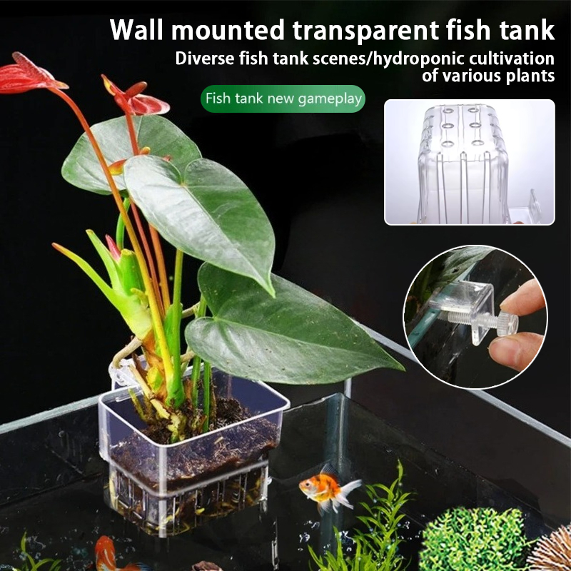 Plant Aquarium Pot - Cestas Suspensas para Aquário, Suporte de
