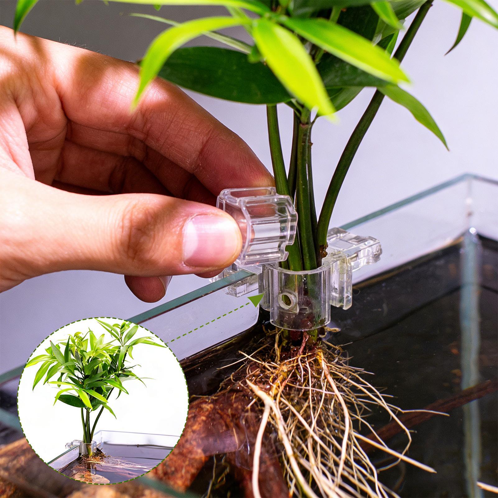 Aquarium Plants Live - Suportes Transparentes para Plantas de Aquário
