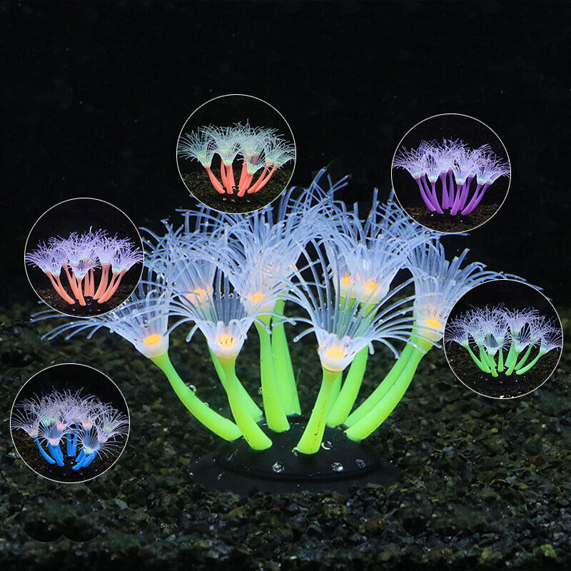 Decoração Subaquática para Aqu - Live Plant Aquarium avaliação e preço