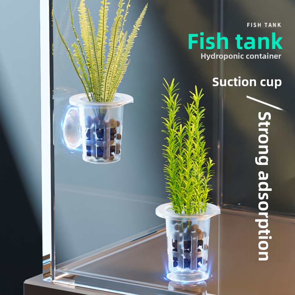 10 Peças de Vasos Hidropônicos - Aquarium Plants Live avaliação e preço