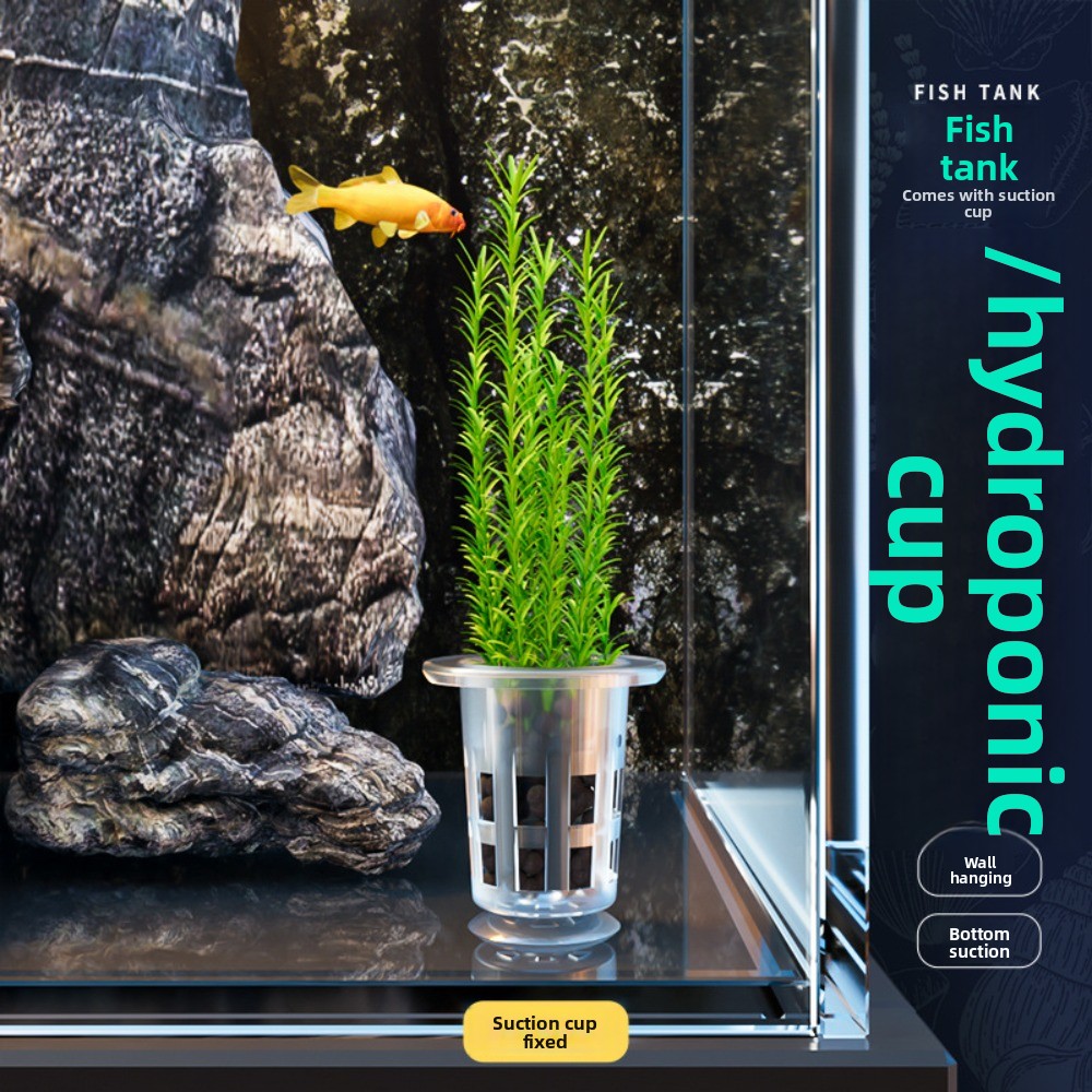 10 Peças de Vasos Hidropônicos - Aquarium Plants Live avaliação e preço