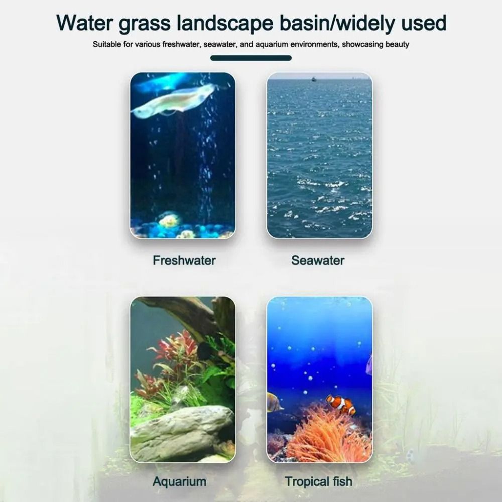 10 Peças de Vasos Hidropônicos - Aquarium Plants Live avaliação e preço