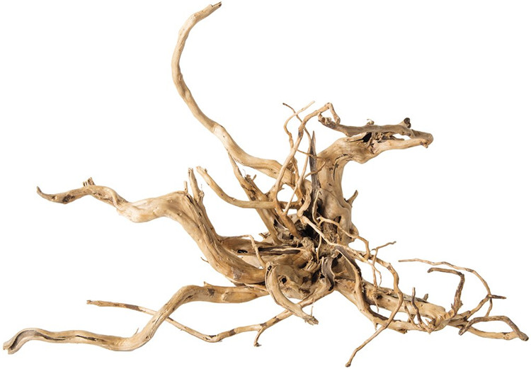 Madeira Natural Polida para Pa - Aquarium Driftwood avaliação e preço