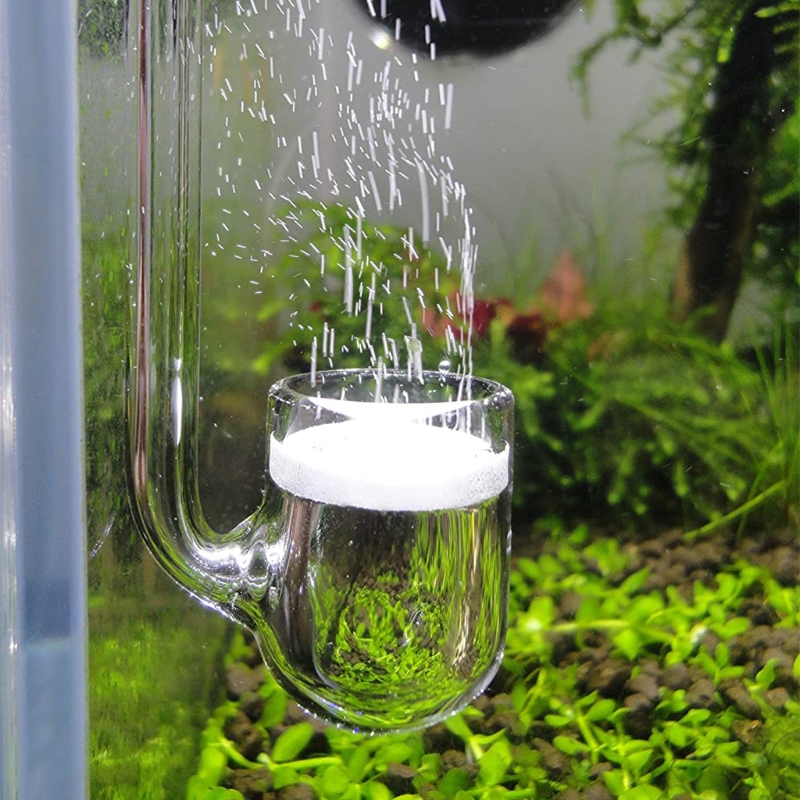 D0AD Difusor CO2 vidro para aq - Aquarium Liquid Carbon avaliação e preço