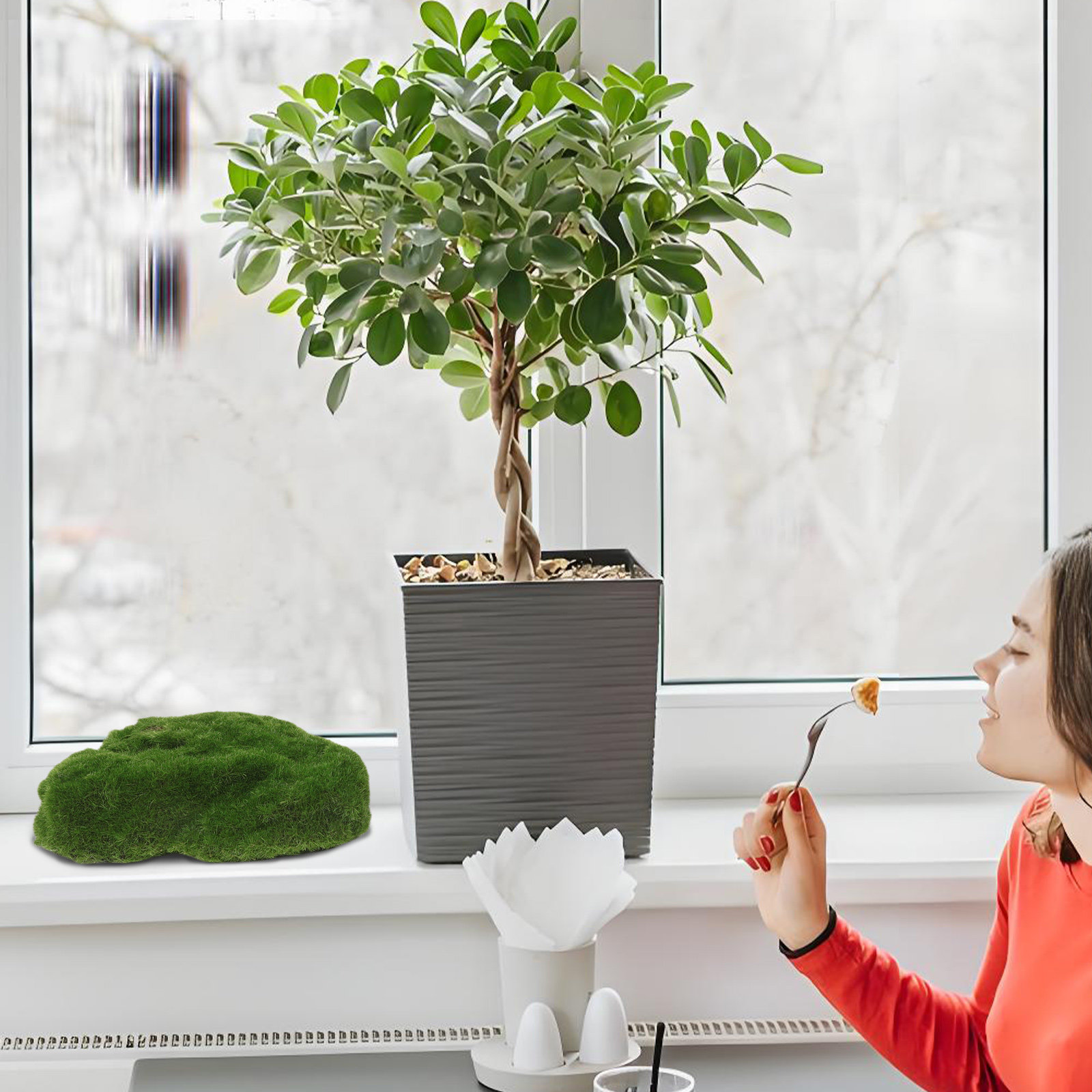 4 peças de pedras decorativas  - Aquarium Moss avaliação e preço
