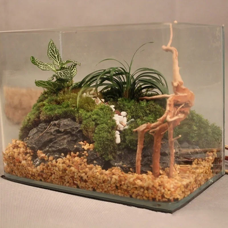 Natural Tree Tronco Driftwood  - Aquarium Driftwood avaliação e preço