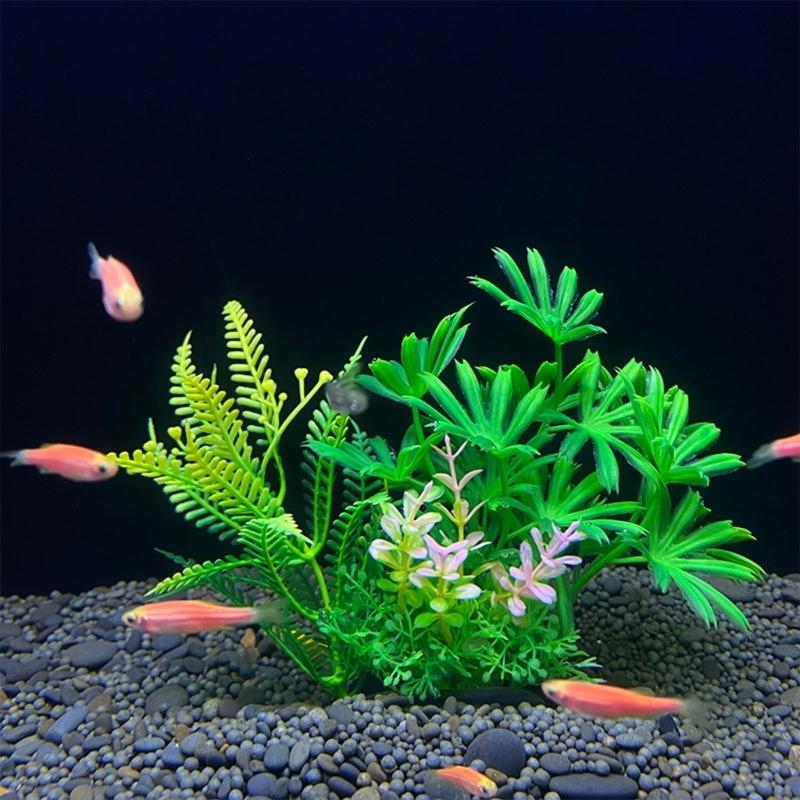 Decoração de aquário artificia - Live Plant Aquarium avaliação e preço