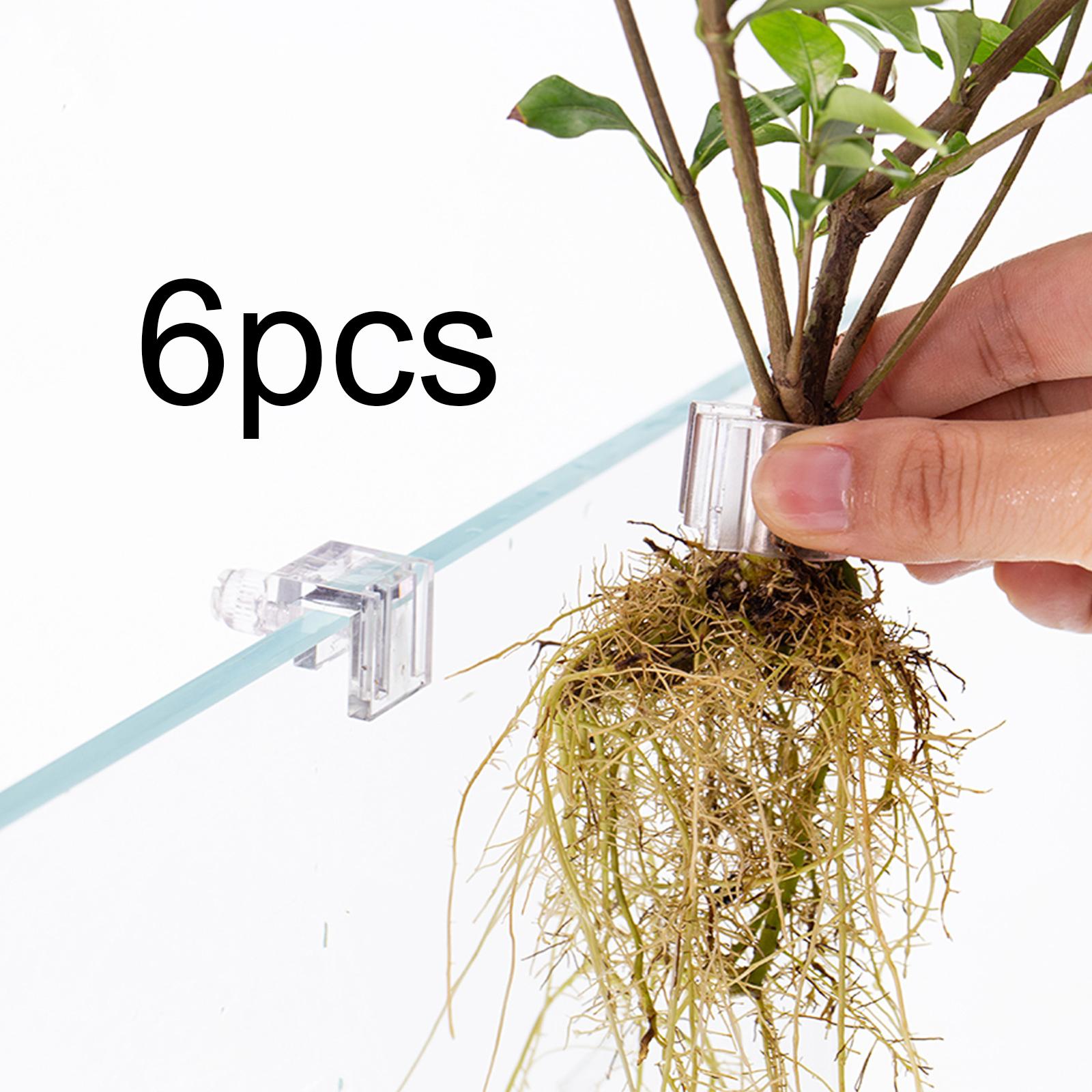 6 Peças de Suporte para Planta - Aquarium Fertilizer avaliação e preço