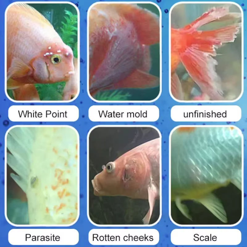 Tratamento de doenças de peixe - Aquarium Fertilizer avaliação e preço