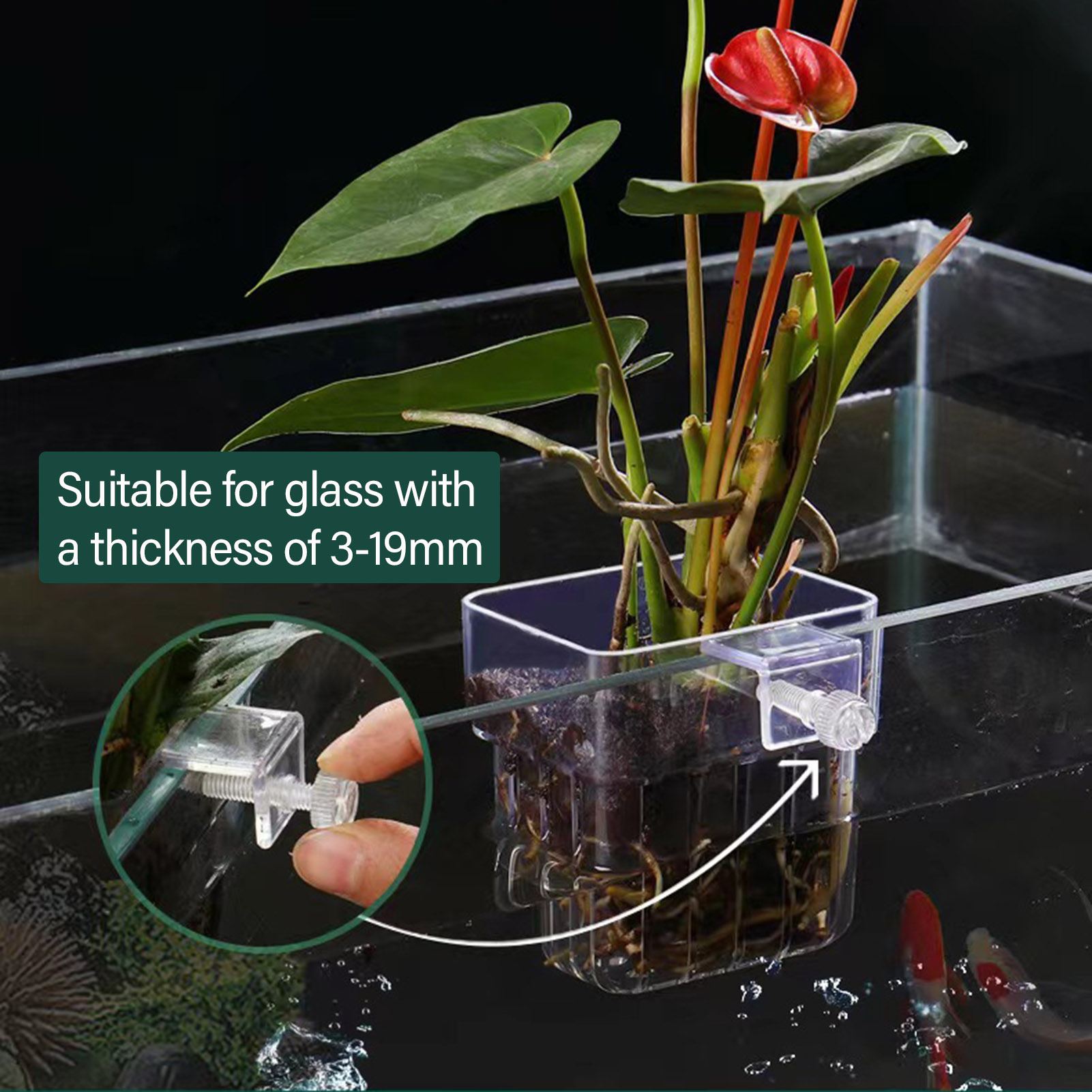Suporte de plantas em acrílico - Aquarium Plant Holder avaliação e preço