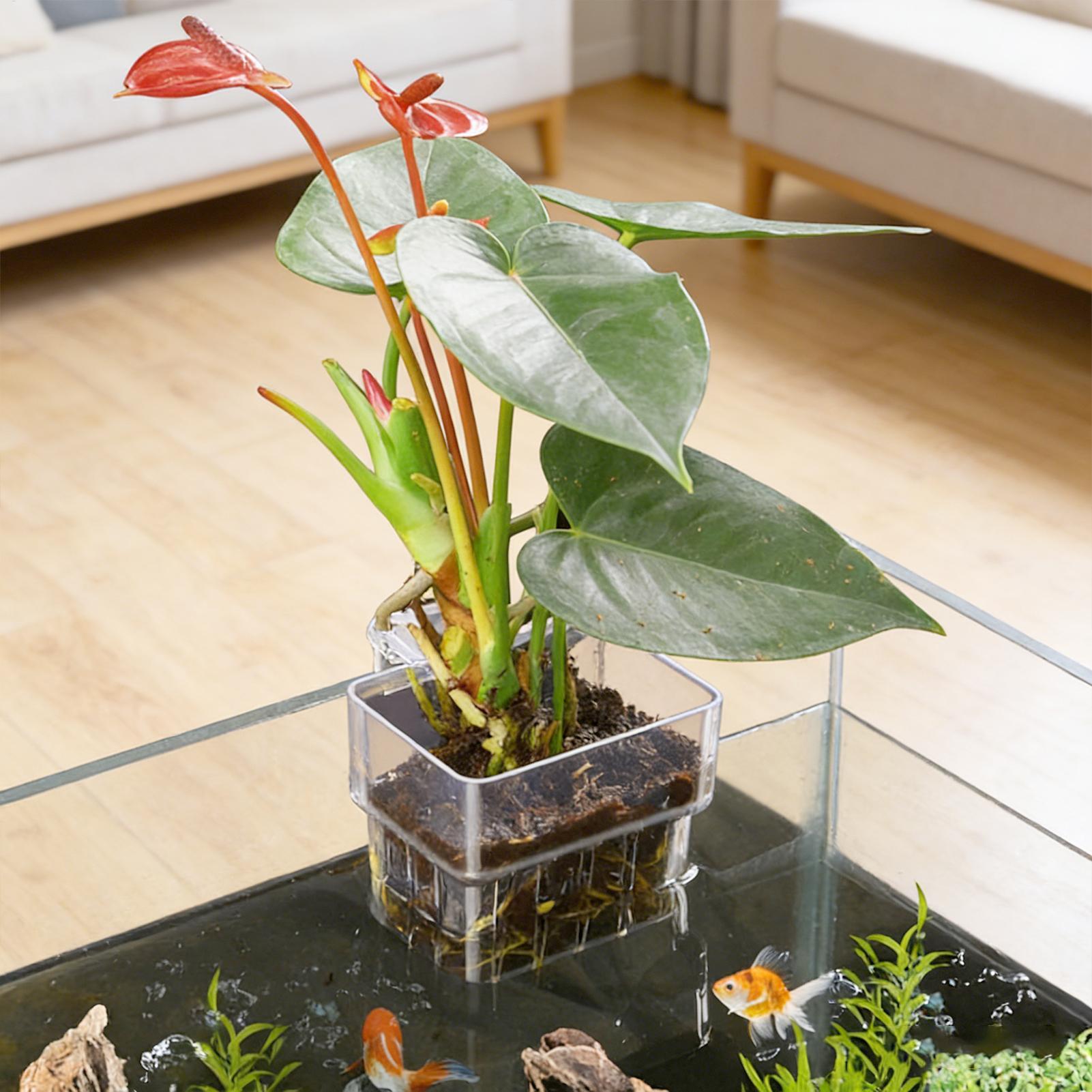 Cesta Transparente para Planta - Plant Aquarium Pot avaliação e preço