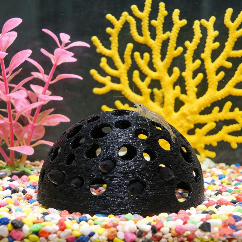 Caverna Oculta para Aquário: A - Aquarium Plants Live avaliação e preço