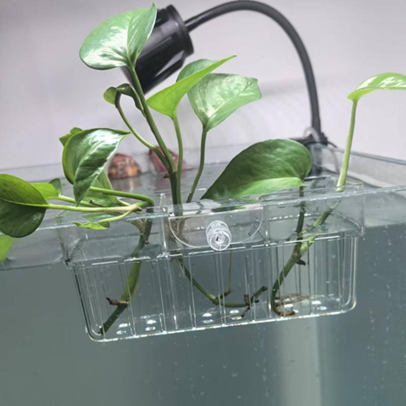 Cesto para Plantas Hidropônica - Planted Tank avaliação e preço