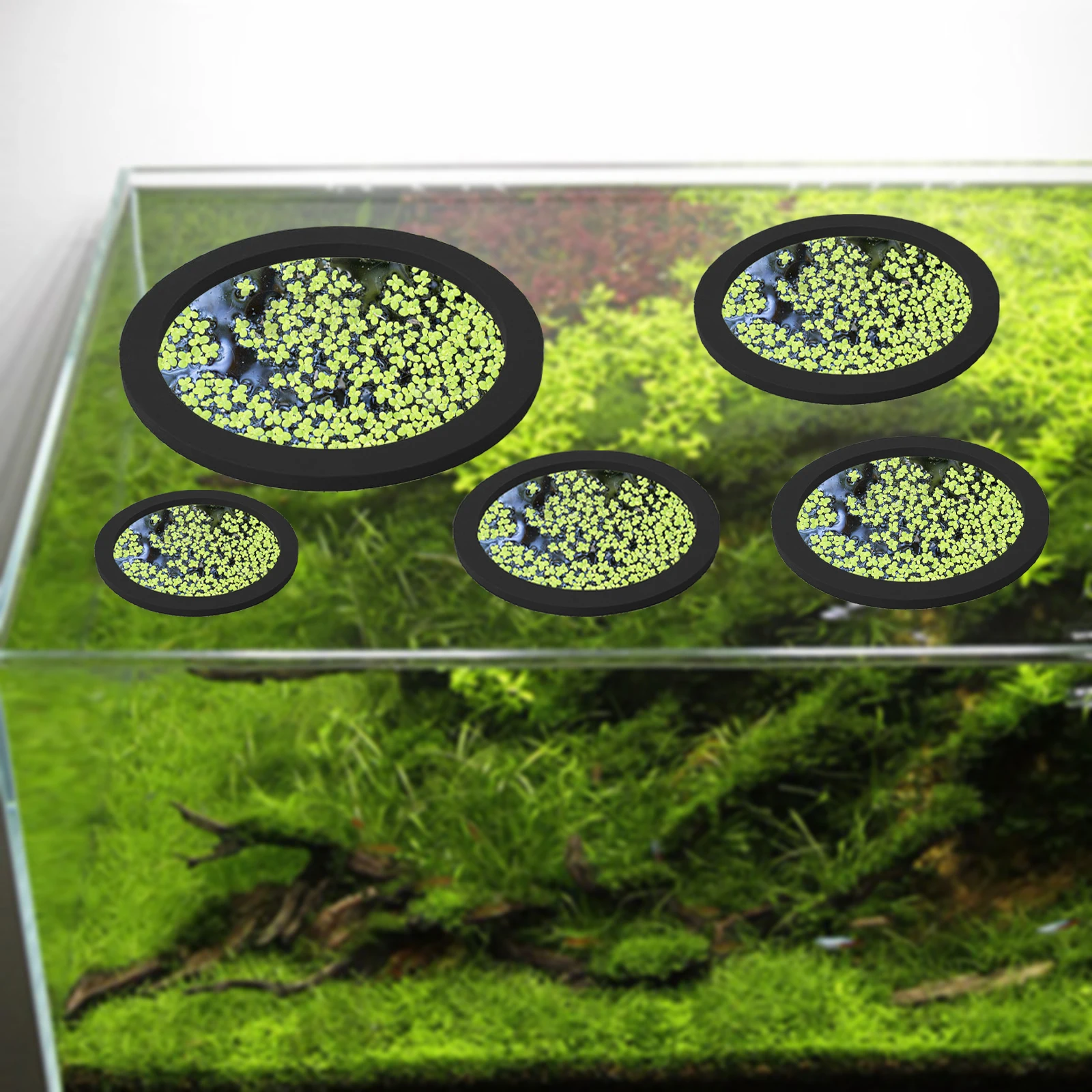 5 pçs eva anel de alimentação  - Planted Tank avaliação e preço