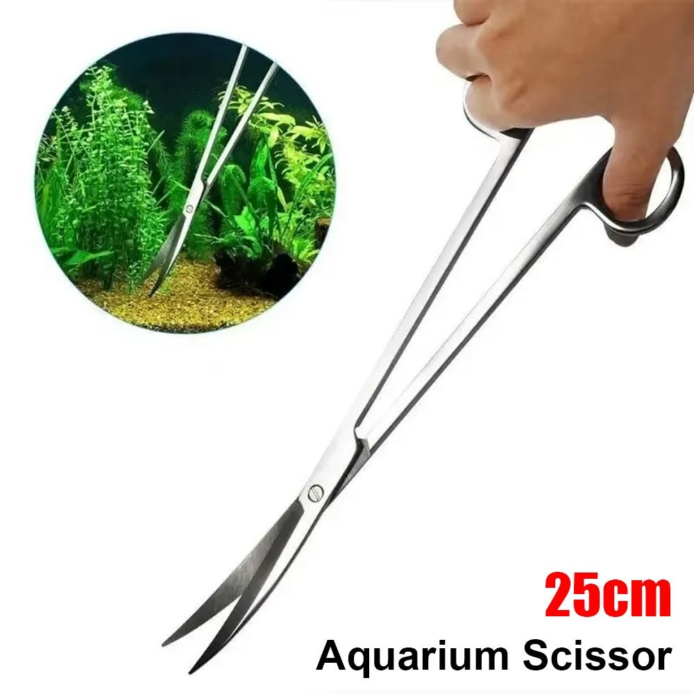 1 Unidade Tesoura de Aço Inoxi - Planted Aquarium Cleaning avaliação e preço