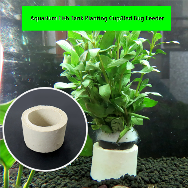 Anel cerâmico da decoração do  - Plant Aquarium Pot avaliação e preço