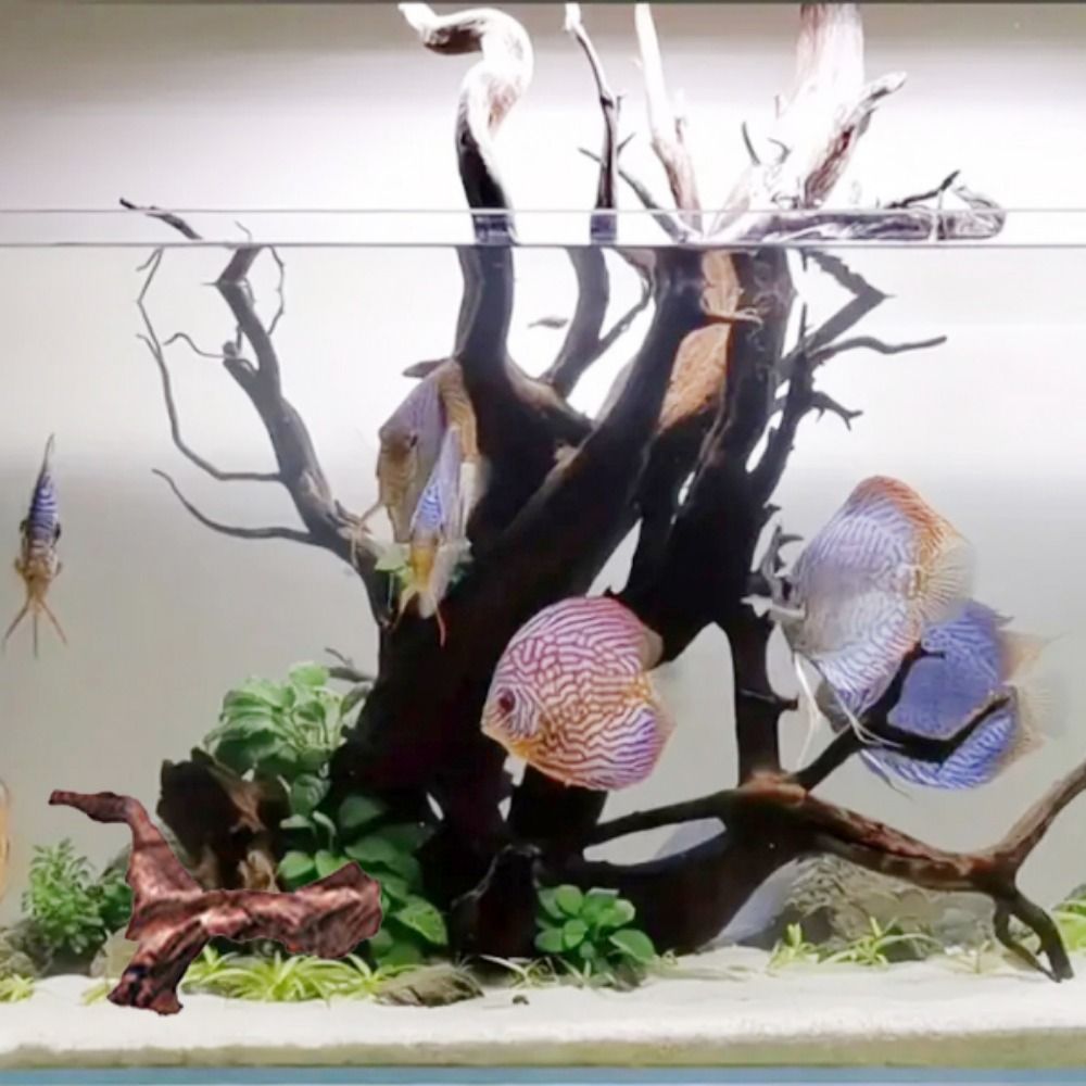 Tronco de Madeira Natural de C - Aquarium Driftwood avaliação e preço