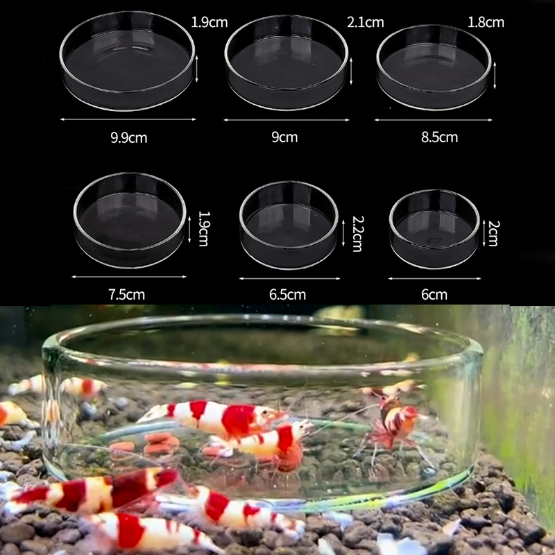 Prato de alimentação de camarã - Aquarium Fertilizer avaliação e preço
