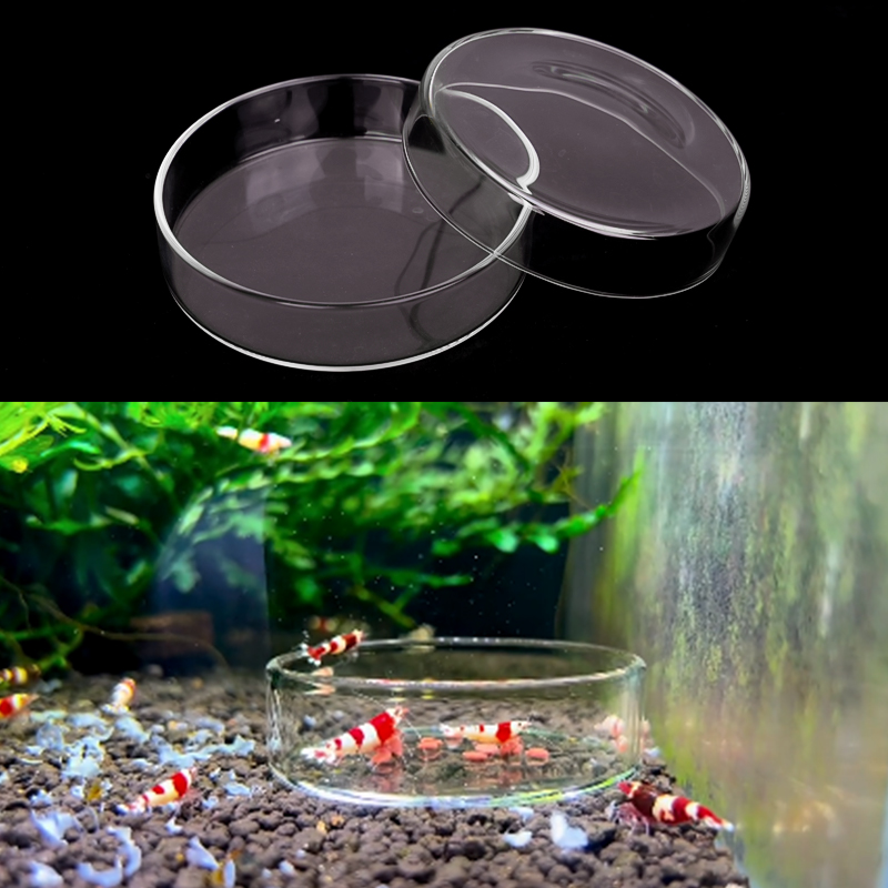 Prato de alimentação de camarã - Aquarium Fertilizer avaliação e preço