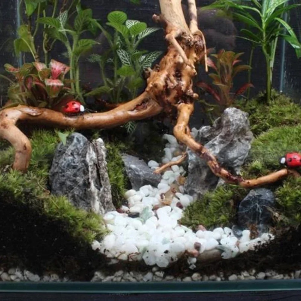 Decoração de aquário em madeir - Aquarium Driftwood avaliação e preço