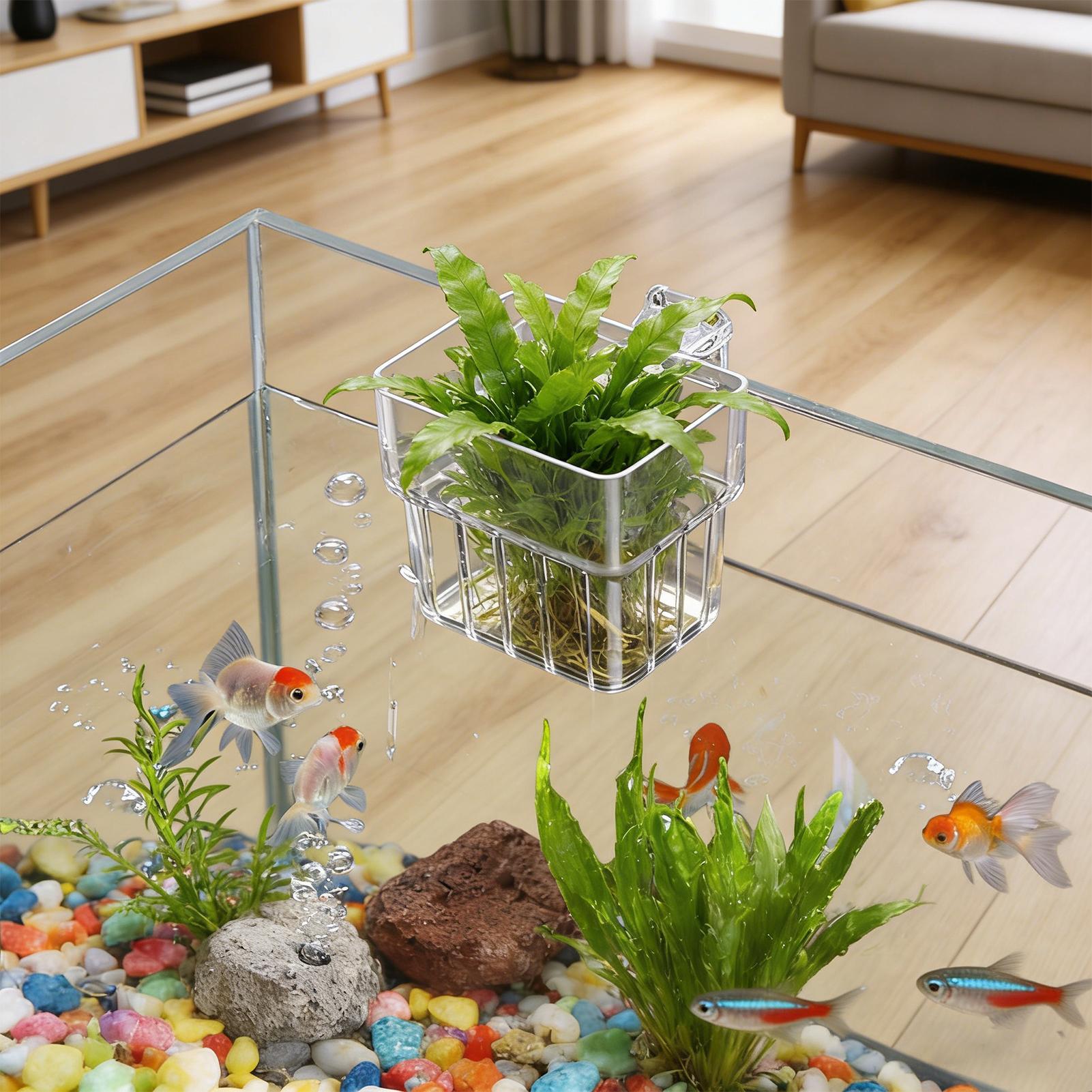 Suporte Transparente para Aquá - Plant Aquarium Pot avaliação e preço