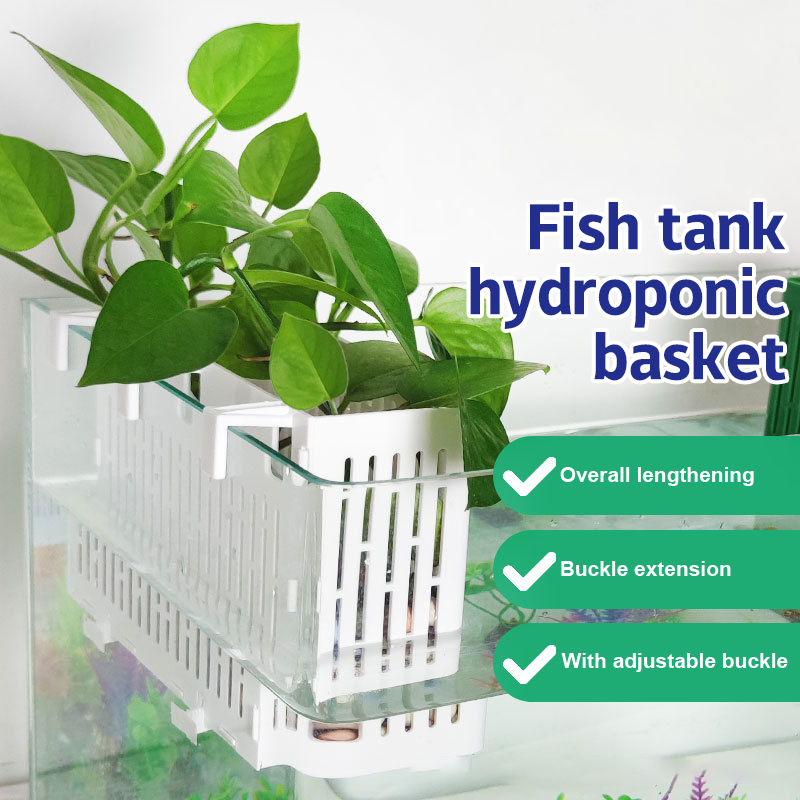 【F】Suporte Suspenso para Plant - Aquarium Plant Holder avaliação e preço