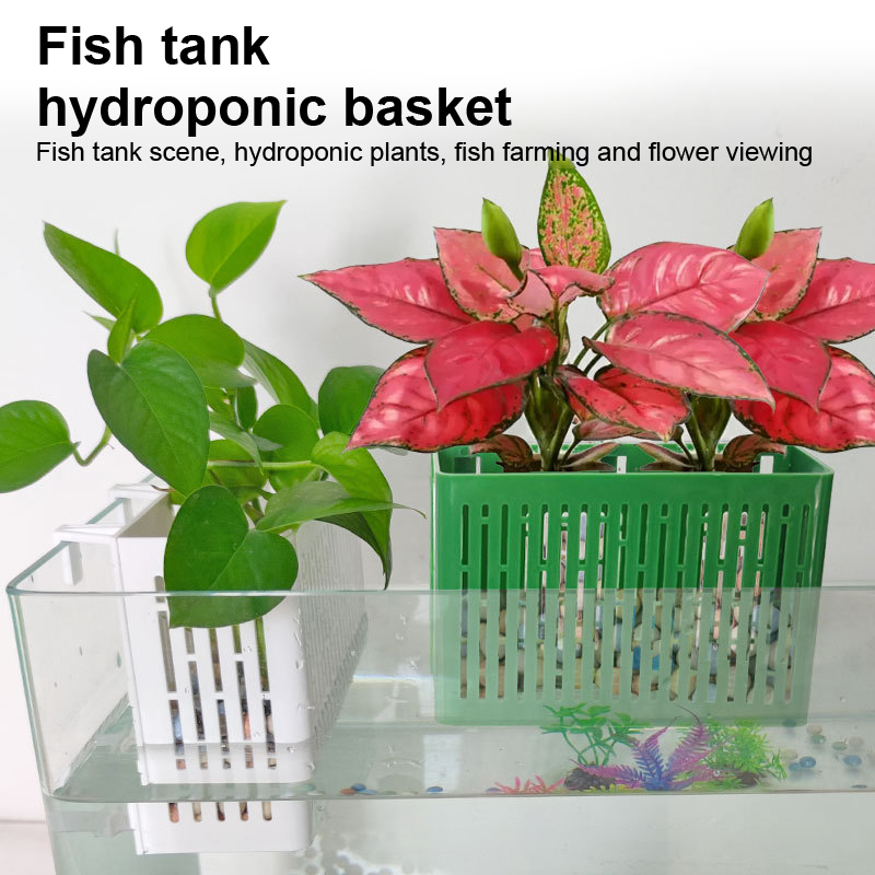 【F】Suporte Suspenso para Plant - Aquarium Plant Holder avaliação e preço
