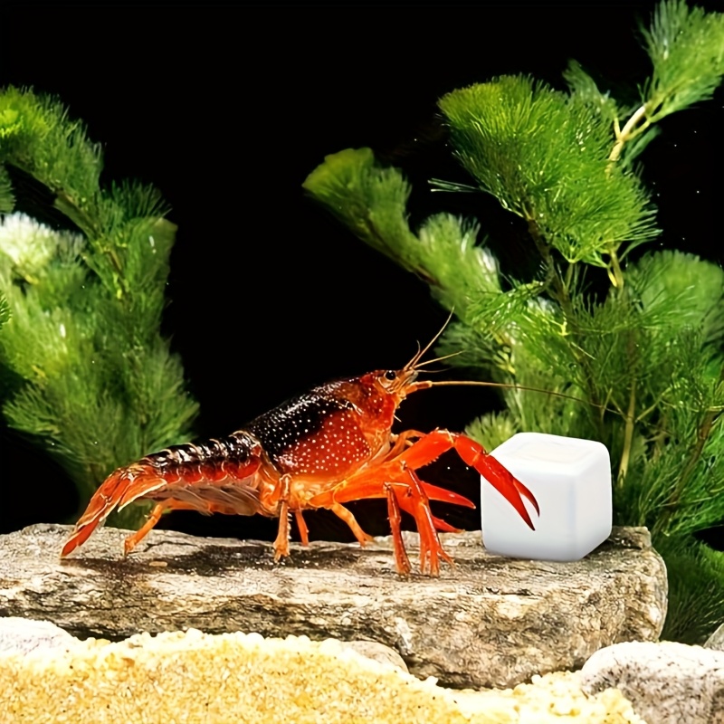 6 Peças de Blocos de Cálcio pa - Aquarium Fertilizer avaliação e preço